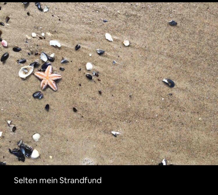 Die Kleine Acht - Direkt Am Strand Dierhagen Exterior photo
