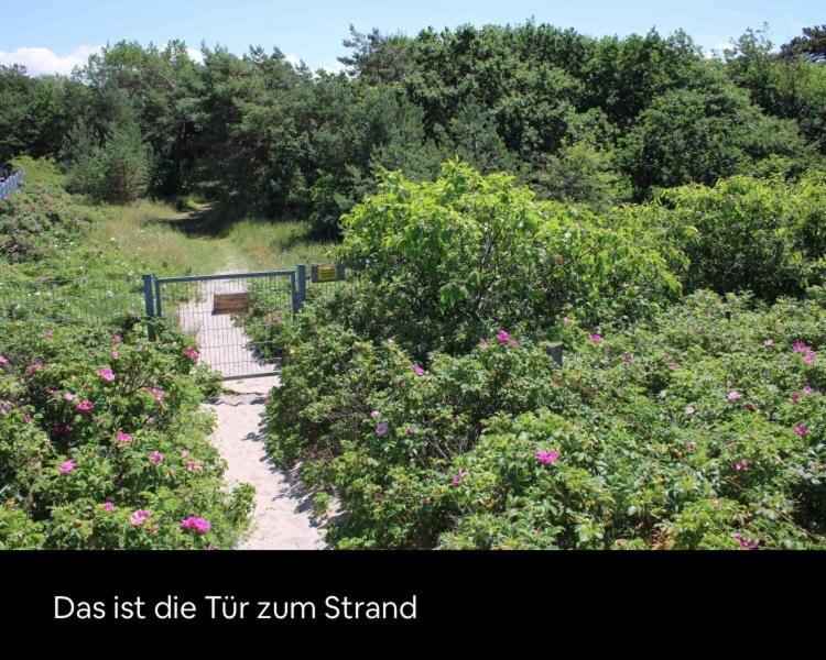 Die Kleine Acht - Direkt Am Strand Dierhagen Exterior photo